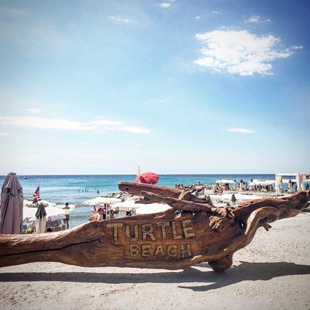 Turtle Beach Club