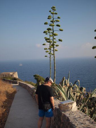 Punta Campanella