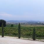 La Sirena Ristorante Pizzeria