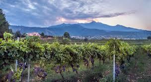 Tenuta San Michele