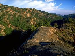 Monte Falterona