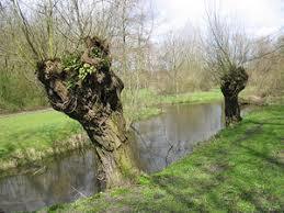 Park Oudegein