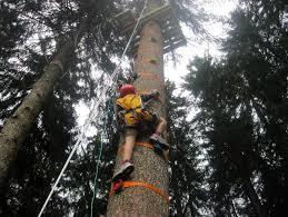 Parco Avventura Adventure Land