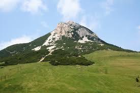 Corno Bianco