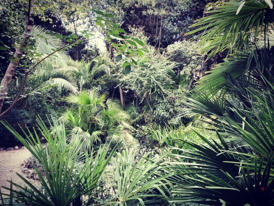 Parco Giardino dei Ligustri