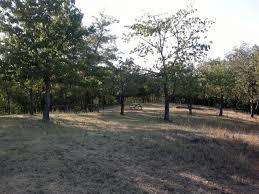 Roccolo Bonato