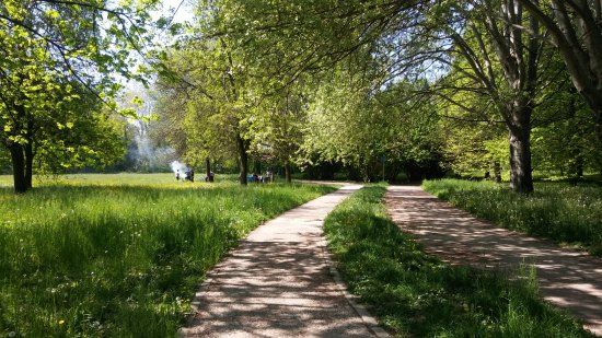 Parco Roncajette