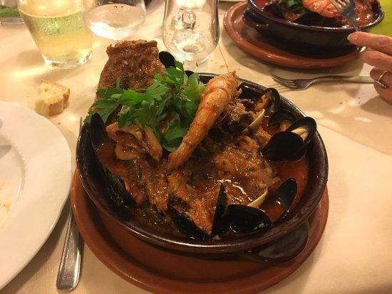 Il Delfino Verde