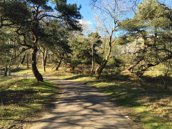Nationaal Park Zuid Kennemerland