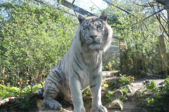 Zoo di Amersfoort