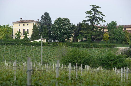 Cantina Peri Bigogno