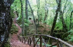 Riserva naturale Pietraporciana