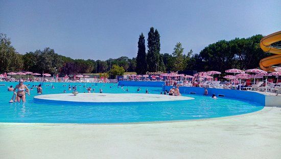 Acquapark Crocodile