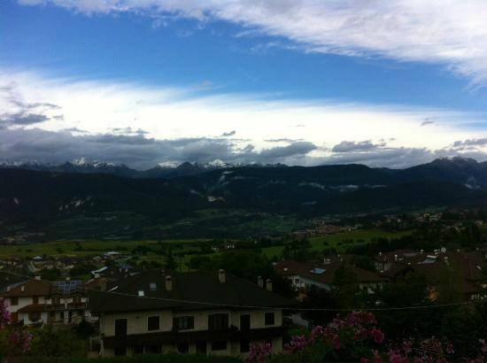 Stella delle Alpi